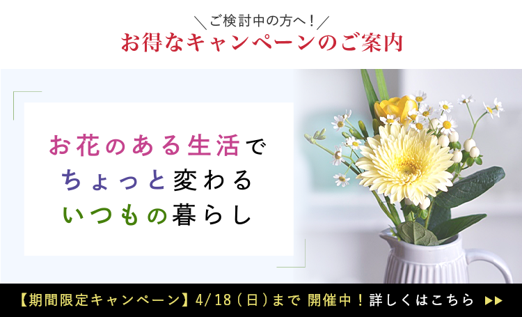 ブルーミー Bloomee ときめきが続く お花の定期便 お花のサブスク
