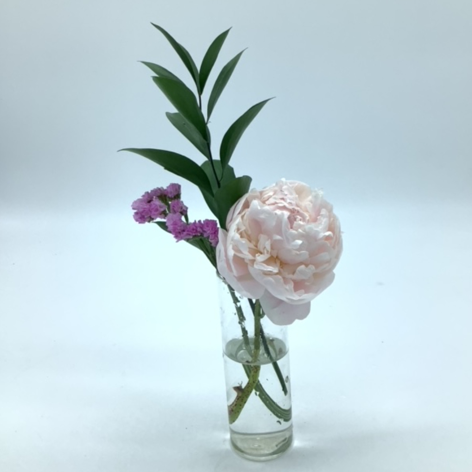 Bloomee 500円プラン 今週お届けするお花はこちら 22年5月日号 ブルーミー Bloomee Bloomee 500円プラン 今週お届けするお花はこちら 22年5月日号 ブルーミー Bloomee